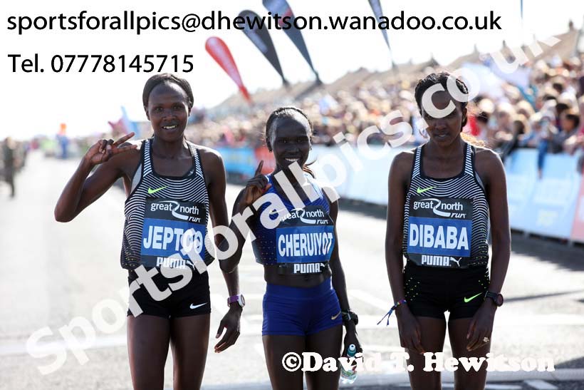 Womens Great North Run. Photo: David T. Hewitson/Sports for All Pics